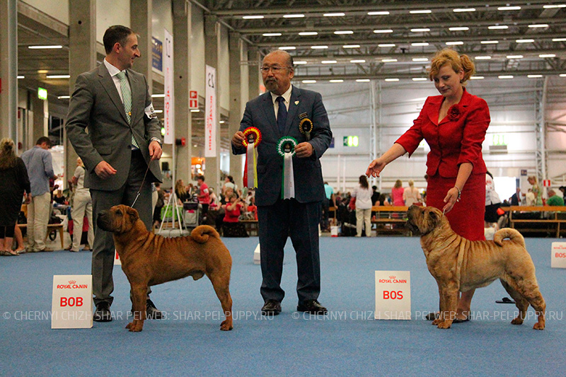 World Dog Show 2014,   