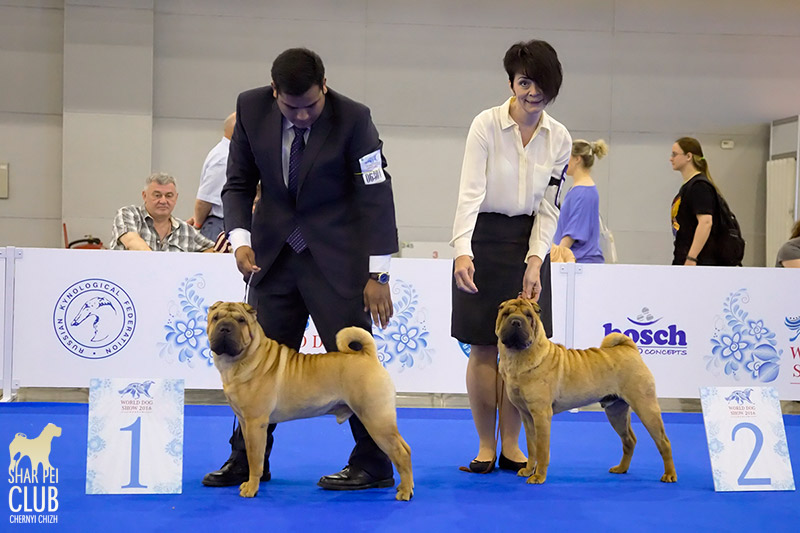 WORLD DOG SHOW 2016 ,  