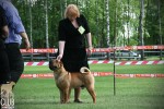   Vartdiv Guru Love