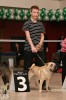  "  "  3- 
